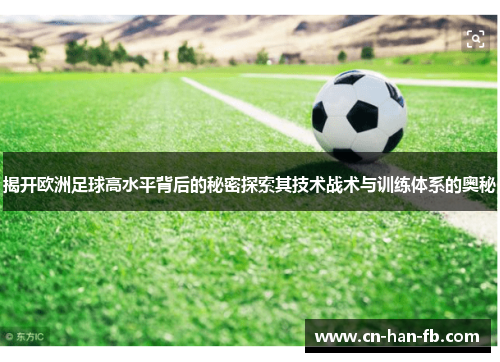 揭开欧洲足球高水平背后的秘密探索其技术战术与训练体系的奥秘