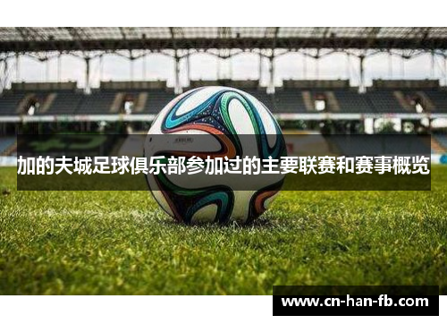 加的夫城足球俱乐部参加过的主要联赛和赛事概览 加的夫城足球俱乐部参加过的主要联赛和赛事概览