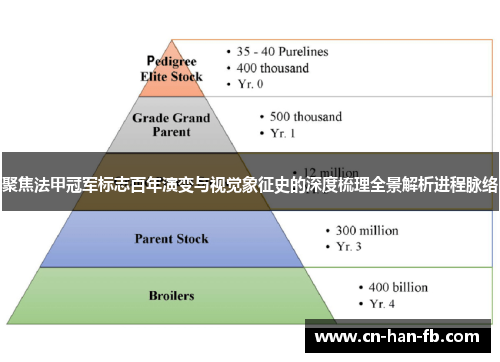 聚焦法甲冠军标志百年演变与视觉象征史的深度梳理全景解析进程脉络 聚焦法甲冠军标志百年演变与视觉象征史的深度梳理全景解析进程脉络