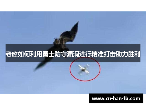 老鹰如何利用勇士防守漏洞进行精准打击助力胜利