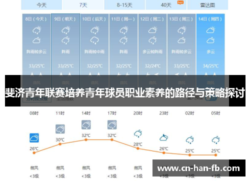 斐济青年联赛培养青年球员职业素养的路径与策略探讨